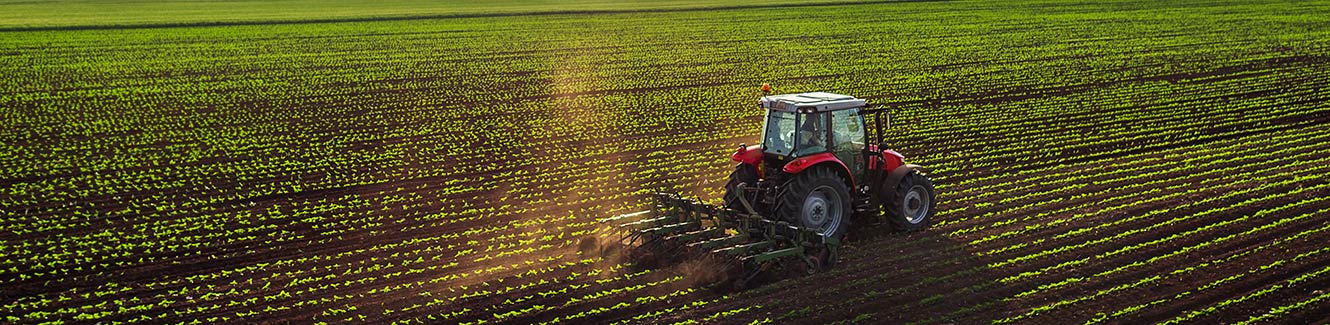 Tractor in a field working